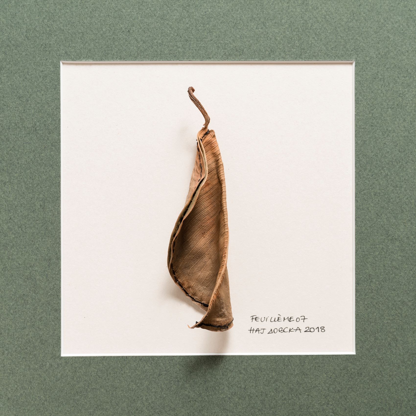 Najdovski Rosa_Feuillème #20, 2024, Poème caché dans deux feuilles de caoutchouc. copyright Najdovski Rosa et Stéphane Bazzo