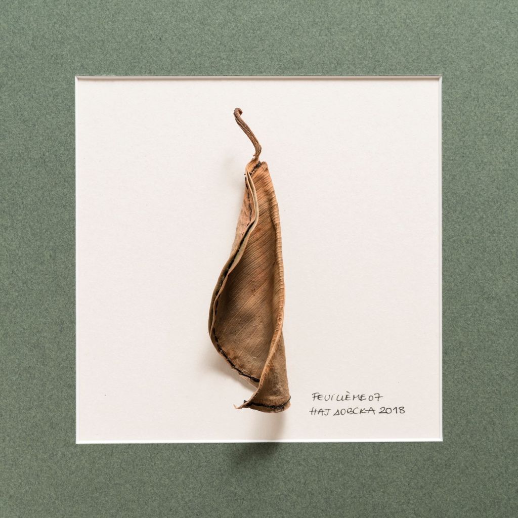 Najdovski Rosa_Feuillème #20, 2024, Poème caché dans deux feuilles de caoutchouc. copyright Najdovski Rosa et Stéphane Bazzo